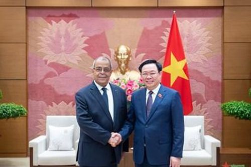 Chủ tịch Quốc hội Vương Đình Huệ tiếp Chủ tịch Ủy ban Liên Chính phủ Algeria-Việt Nam Ali Aoun