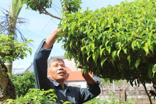 Diện mạo mới ở vùng quê Yên Cường (Ý Yên, Nam Định): Kỳ 2: Lan tỏa việc học tập và làm theo Bác