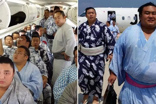 Hi Hữu: Máy bay không chở nổi khách sumo vì sợ... hết nhiên liệu