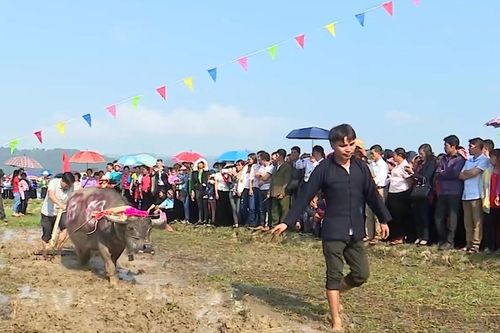 Lai Châu: Hành trình phục dựng lễ hội Gầu Tào của người Mông ở Than Uyên