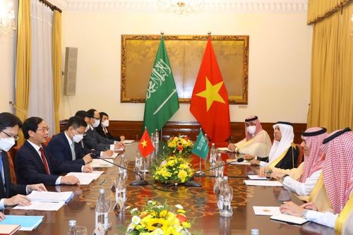 Tạo xung lực mới cho quan hệ giữa Việt Nam và Saudi Arabia