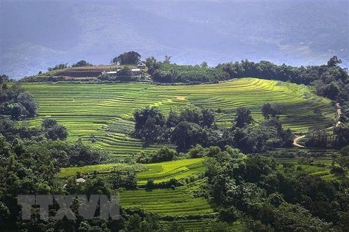 Ruộng bậc thang Miền Đồi: Ẩn số chưa khai phá của du lịch Hòa Bình