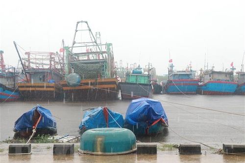 Bão số 5 cách đất liền 200km, Quảng Bình cấm biển từ 0 giờ ngày 18/10