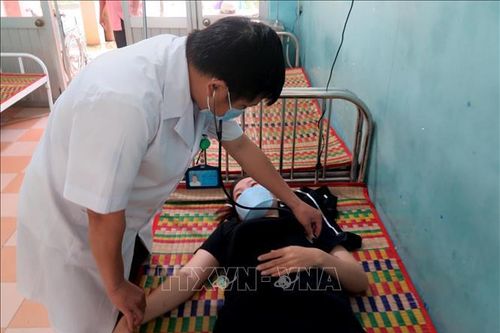 Bình Định: Xử lý triệt để, không để sốt xuất huyết bùng phát, lan rộng, kéo dài