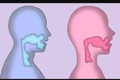 Tại sao phụ nữ và đàn ông có giọng nói khác nhau?