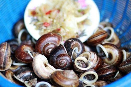 'Lộc trời' bò ra từ hốc đá, xuất hiện nhiều khi trời mưa, dân đi bắt về bán 250.000 đồng/kg thành đặc sản nổi tiếng