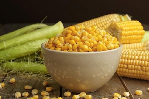 Giá bắp khó tăng trong ngắn hạn