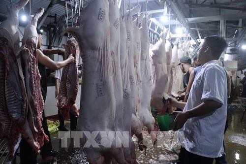Hà Nội xây dựng chuỗi liên kết trong chăn nuôi quy mô lớn
