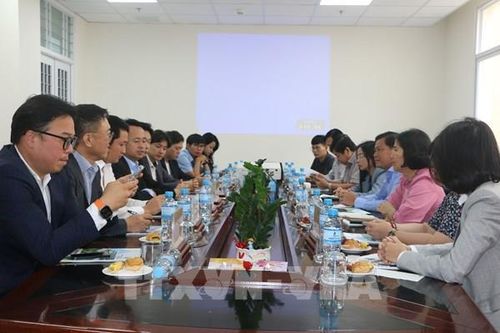 Doanh nghiệp Hàn Quốc muốn nhập khẩu rau quả đông lạnh của Long An
