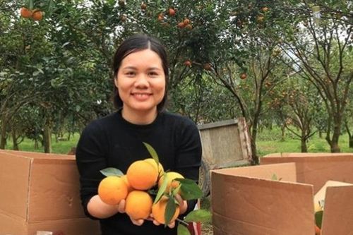 Còn nhiều rào cản khi đưa sản phẩm vùng đồng bào dân tộc thiểu số và miền núi lên sàn thương mại điện tử