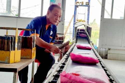Yếu tố nào thúc đẩy thị trường gạo thế giới 'nóng' trở lại?