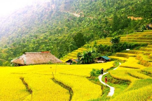 Sắp diễn ra 'Lễ hội mùa vàng – Làng nhà rêu' Xà Phìn 2023
