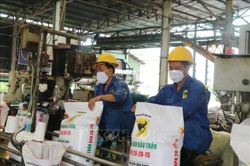 Giá phân bón trong nước giảm nhẹ nhờ nguồn cung ổn định