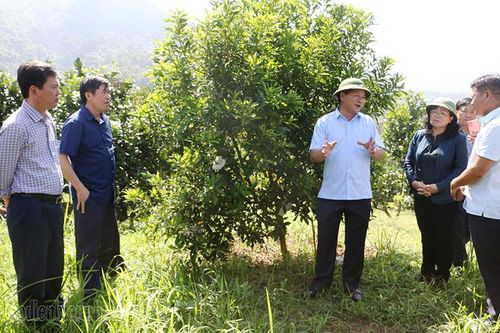 Chủ tịch UBND tỉnh Lê Thành Đô kiểm tra tình hình phát triển KT-XH huyện Mường Ảng