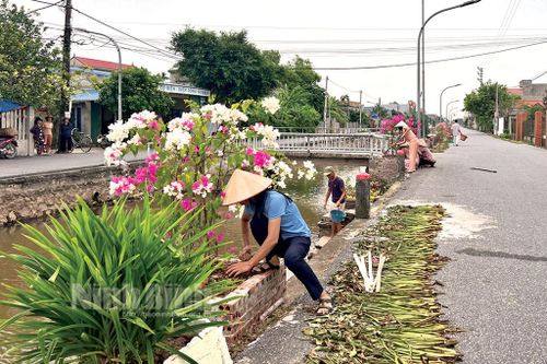 Những tuyến đường 'nở hoa' từ bàn tay phụ nữ