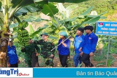 Góp sức trẻ bảo vệ rừng