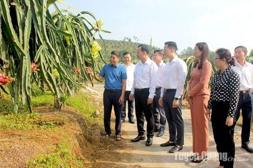Đoàn Kiểm tra của Ban Dân vận Trung ương làm việc tại huyện Hàm Yên