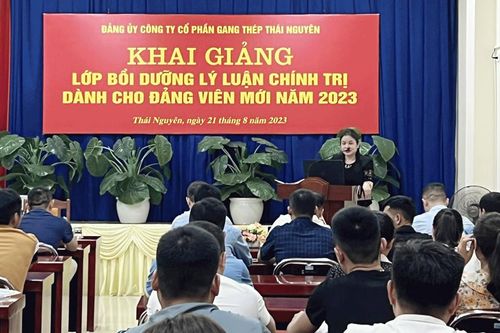 Đảng bộ Công ty CP Gang thép Thái Nguyên: Kết nạp 53 đảng viên mới