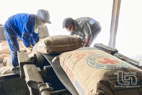Công ty CP Xi măng La Hiên: Tạo việc làm ổn định cho trên 500 lao động