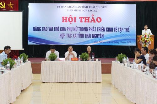 Phát huy vai trò của phụ nữ trong phát triển kinh tế tập thể, HTX