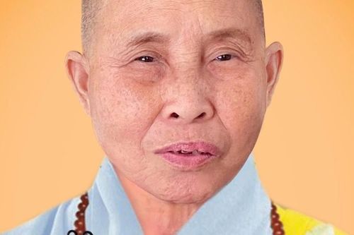 Thái Bình: Ni sư Thích Đàm Nga, trụ trì chùa Phúc Sơn viên tịch