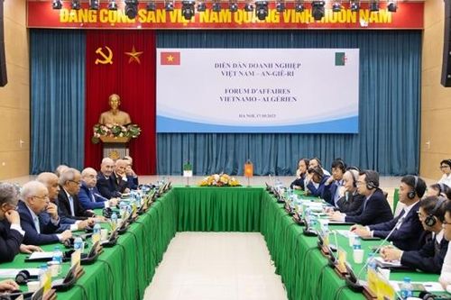 Thúc đẩy mối quan hệ hợp tác giữa các doanh nghiệp Việt Nam – Algeria