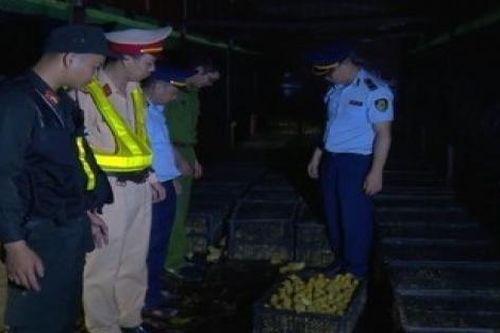 Kiểm soát chặt nhập lậu gia cầm, bảo vệ ngành chăn nuôi trong nước