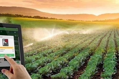 Tăng trưởng nông nghiệp cần dựa vào công nghệ và đổi mới, sáng tạo