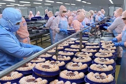 Vướng mắc về cam kết EVFTA, tìm đến đâu để được trả lời?