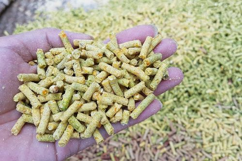 Việt Nam nhập hơn 1 tỷ USD thức ăn gia súc và nguyên liệu từ Argentina