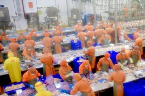 Cải thiện năng lực chế biến nông sản