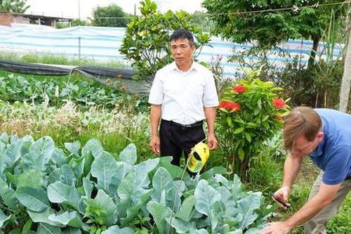 Nông nghiệp hữu cơ - Nhất cử lưỡng tiện