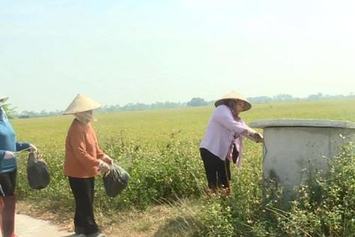 Hội Nông dân Ứng Hòa phát động thu gom bao bì thuốc bảo vệ thực vật