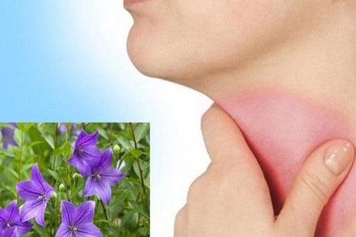 6 bài thuốc trị viêm họng cấp khi thời tiết chuyển mùa