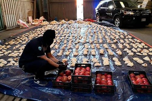 Khủng hoảng 'ma dược' captagon và mối lo của Trung Đông - châu Âu