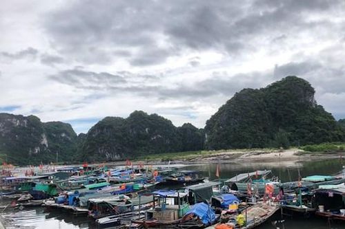 Quảng Ninh: Tàu thuyền gấp rút cập bến tránh bão số 5