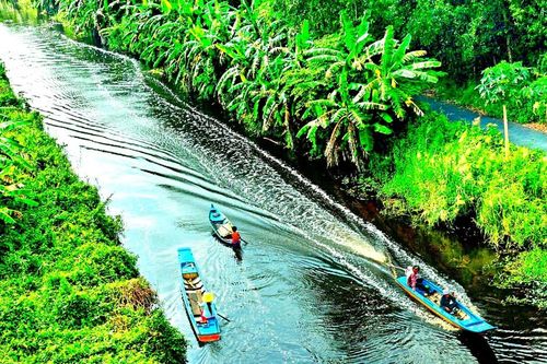 Ngọt ngào hương rừng U Minh Hạ