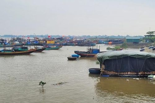 Hà Tĩnh: Người nuôi trồng thủy sản chủ động ứng phó với mưa bão