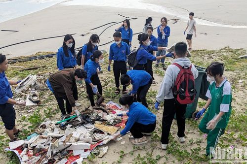 Thanh niên tình nguyện vệ sinh bờ biển Đà Nẵng