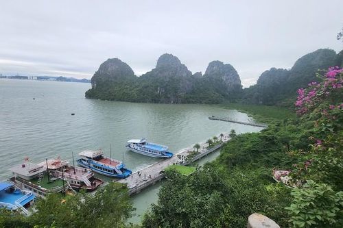 Quảng Ninh tạm ngừng cấp phép cho các phương tiện thủy ra khơi