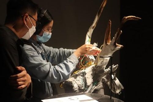 Góc nhìn về cuộc sống của những nghệ sĩ trẻ qua trải nghiệm đa giác quan