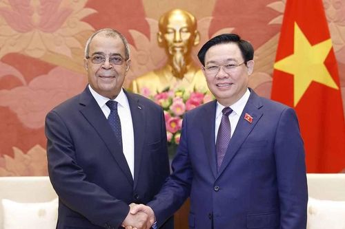 Tiềm năng hợp tác của Việt Nam - Algeria là rất lớn