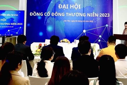 Thị giá từng 'lao dốc' chỉ còn 500 đồng/cổ phiếu, CTCP Đầu tư HVA (HVA) đang hoạt động ra sao?