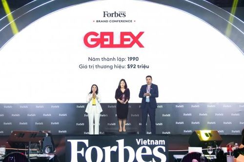 GELEX lọt Top 25 thương hiệu dẫn đầu do Forbes Việt Nam bình chọn