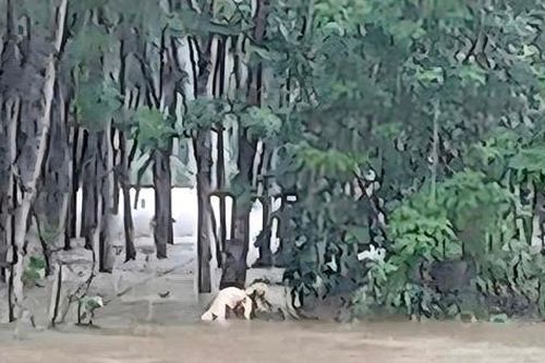 Tìm thấy thi thể người đàn ông sau hơn nửa tháng mất tích ở TT-Huế