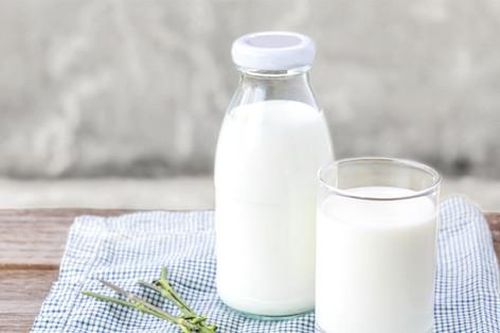 Loại sữa được những người sống thọ trăm tuổi ưa chuộng
