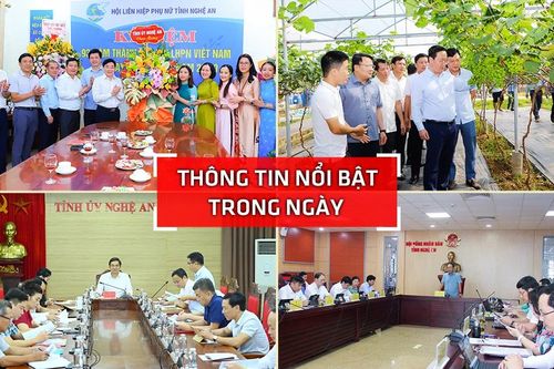 Nghệ An: Thông tin nổi bật ngày 19/10