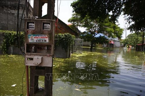 Giảm thiệt hại ngập úng cho lưu vực sông Bùi