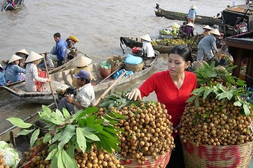 TP Hồ Chí Minh: Đa dạng hoạt động giới thiệu, quảng bá sản phẩm OCOP