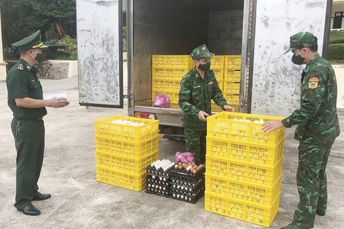 Quảng Ninh: Thu giữ gần 10.000 quả trứng vịt không rõ nguồn gốc